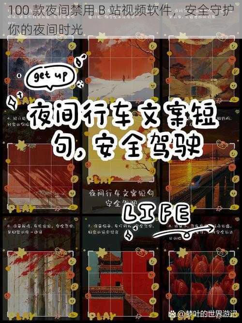 100 款夜间禁用 B 站视频软件,安全守护你的夜间时光