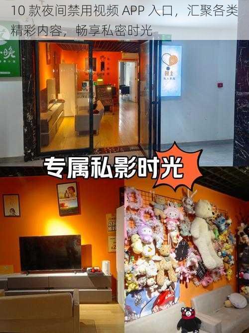 10 款夜间禁用视频 APP 入口,汇聚各类精彩内容,畅享私密时光