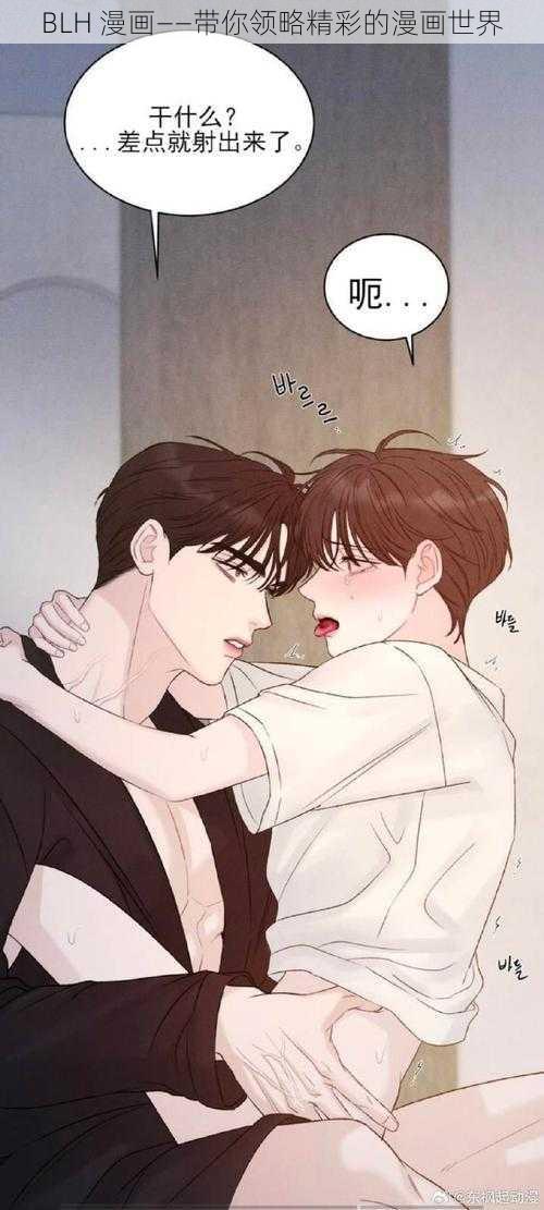 BLH 漫画——带你领略精彩的漫画世界