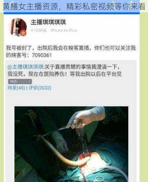 黄鳝女主播资源,精彩私密视频等你来看