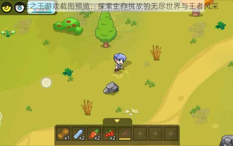 求生之王游戏截图预览:探索生存挑战的无尽世界与王者风采