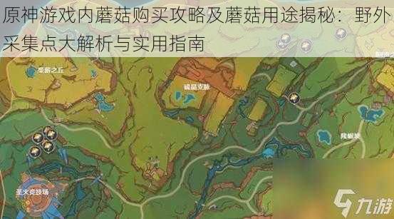 原神游戏内蘑菇购买攻略及蘑菇用途揭秘:野外采集点大解析与实用指南